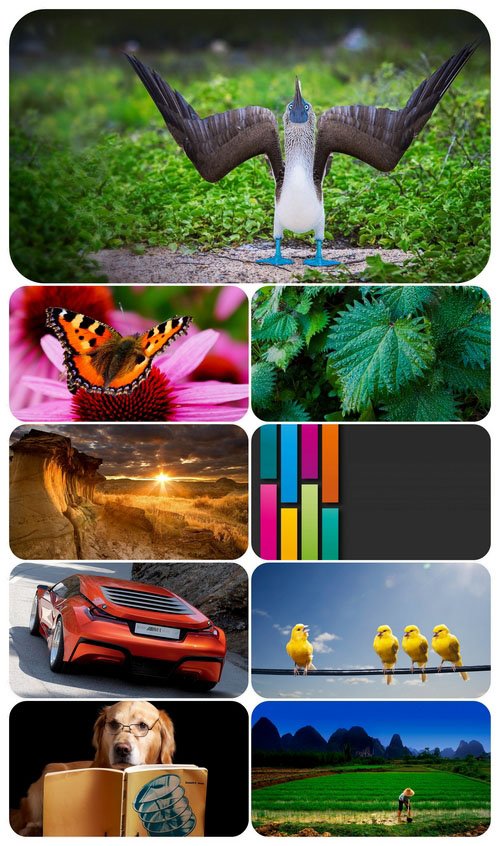 Beautiful Mixed Wallpapers Pack 411