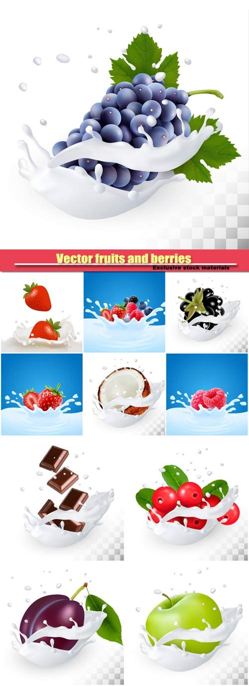 Vector fruits and berries in a milk splash on a transparent background