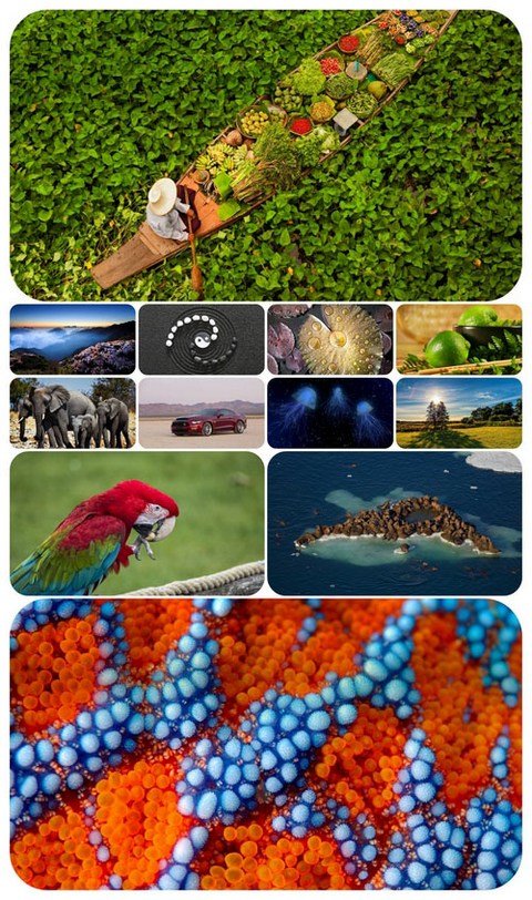 Beautiful Mixed Wallpapers Pack 417