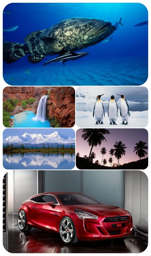 Beautiful Mixed Wallpapers Pack 420