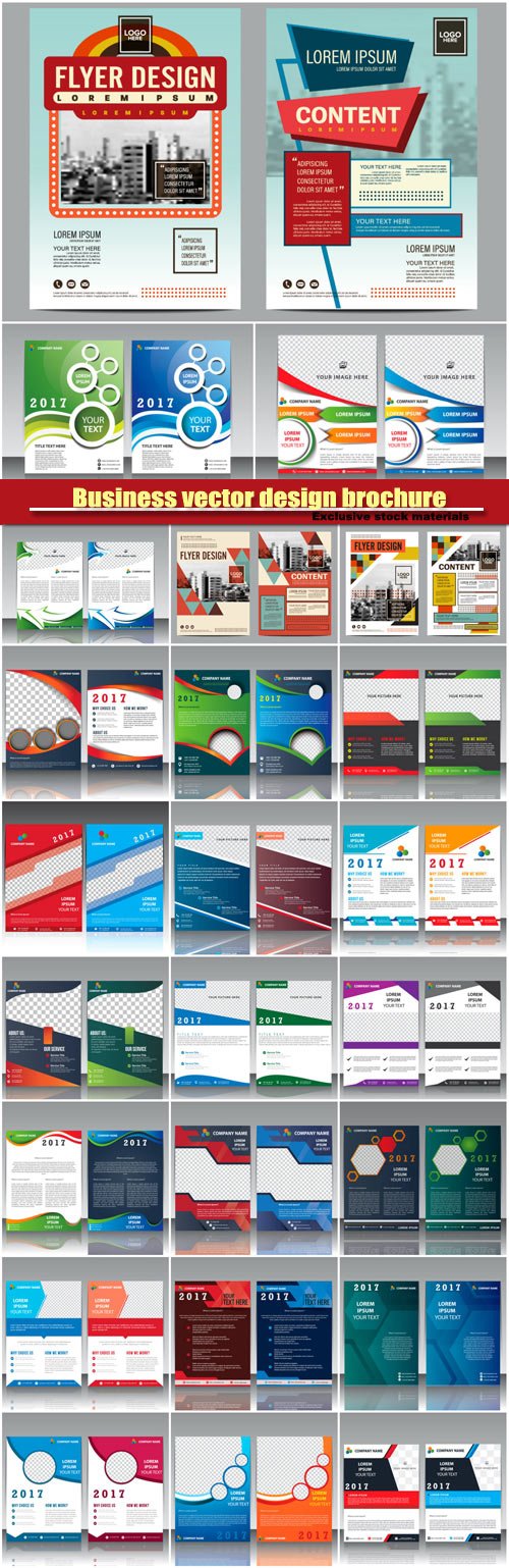 Business vector design brochure, flyer template