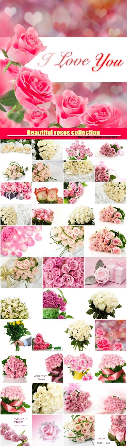 Beautiful pink and white roses, collection of romantic backgrounds