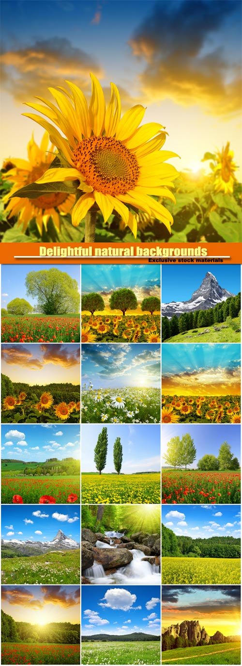 Delightful natural backgrounds, fields of flowers, meadows, mountains, waterfalls
