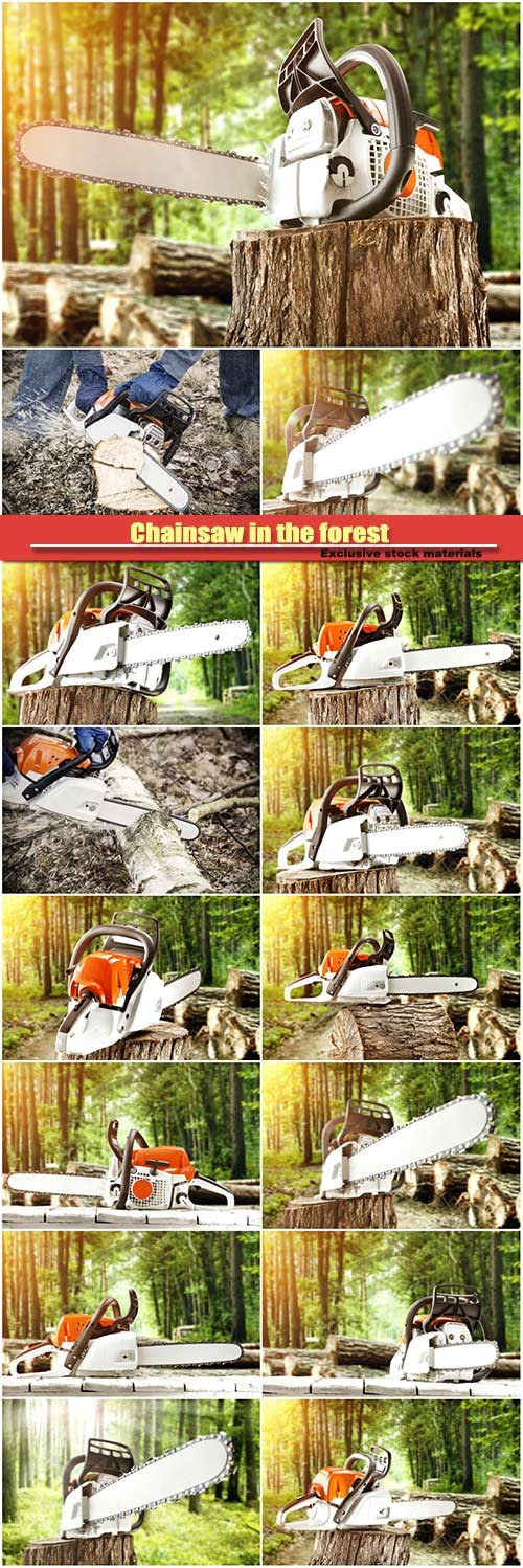Chainsaw in the forest