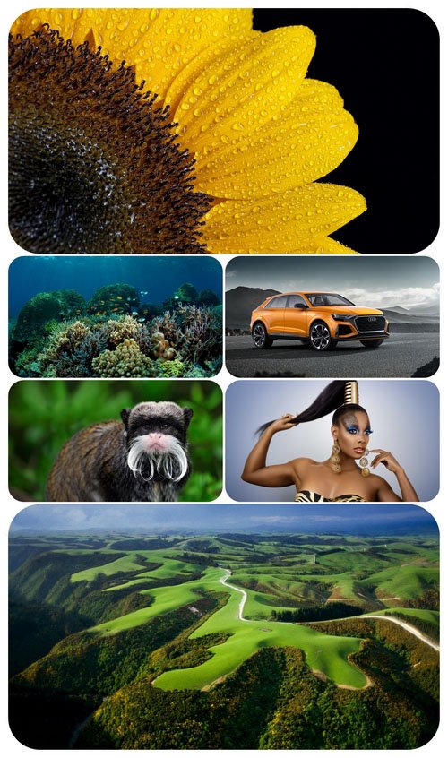Beautiful Mixed Wallpapers Pack 423