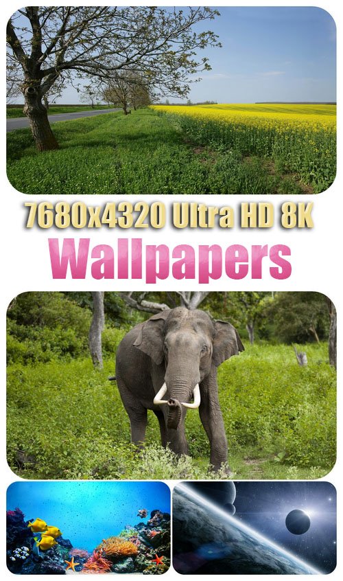 7680x4320 Ultra HD 8K Wallpapers 38