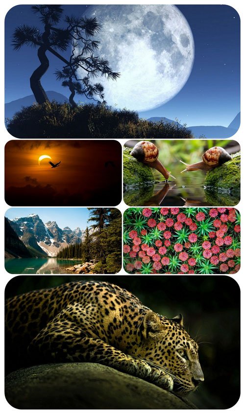 Beautiful Mixed Wallpapers Pack 434
