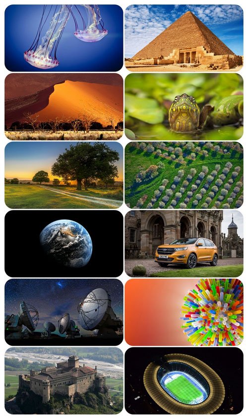 Beautiful Mixed Wallpapers Pack 444