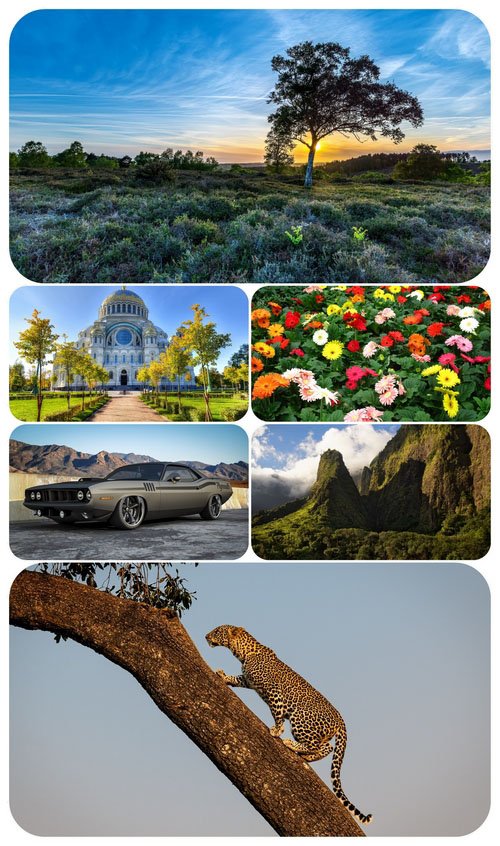 Beautiful Mixed Wallpapers Pack 454
