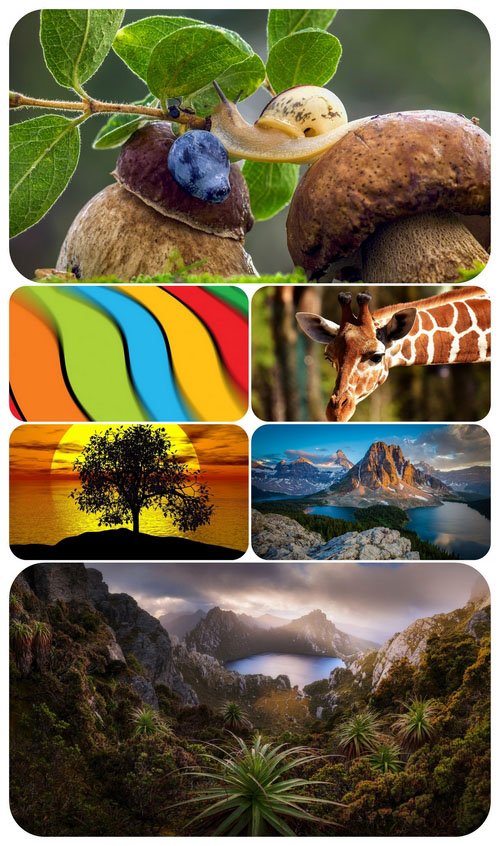 Beautiful Mixed Wallpapers Pack 509
