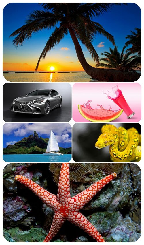 Beautiful Mixed Wallpapers Pack 513