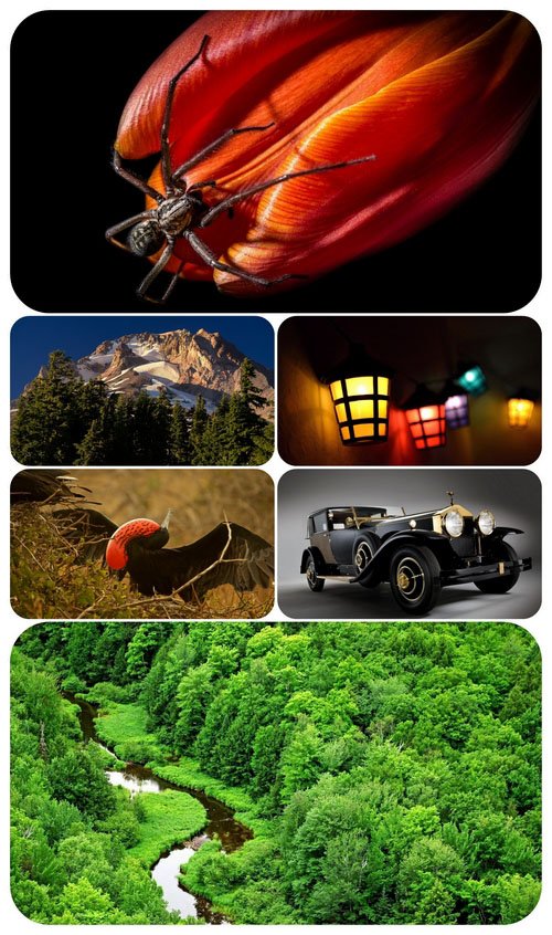Beautiful Mixed Wallpapers Pack 597