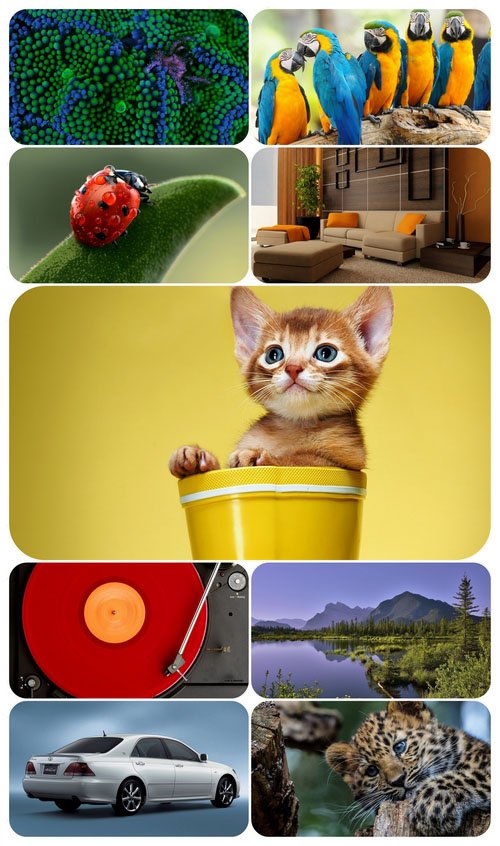 Beautiful Mixed Wallpapers Pack 604