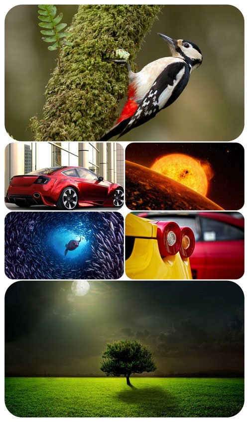 Beautiful Mixed Wallpapers Pack 614