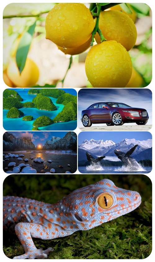Beautiful Mixed Wallpapers Pack 623