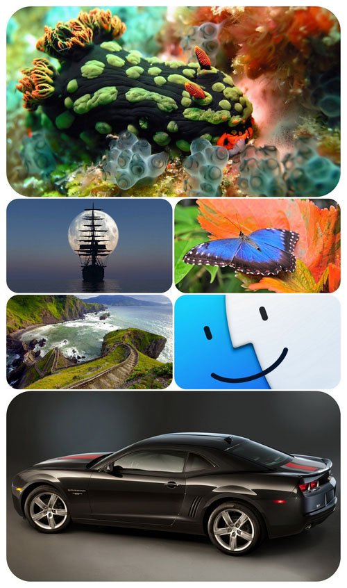 Beautiful Mixed Wallpapers Pack 635