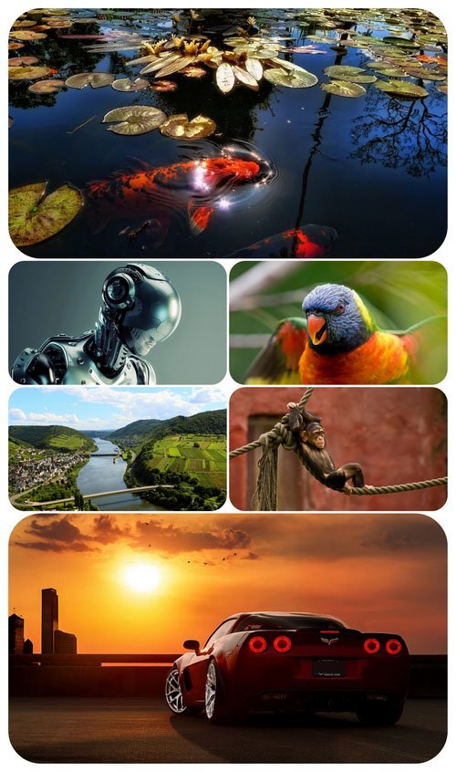 Beautiful Mixed Wallpapers Pack 651