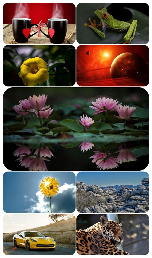 Beautiful Mixed Wallpapers Pack 688