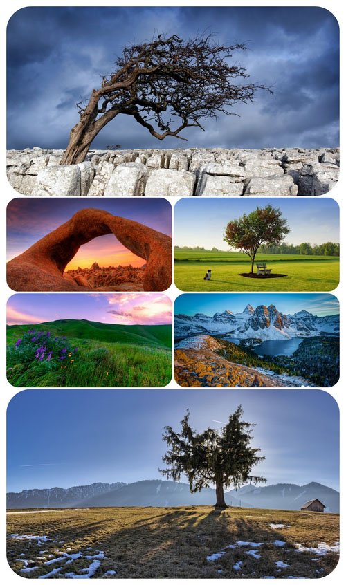 Most Wanted Nature Widescreen Wallpapers #454