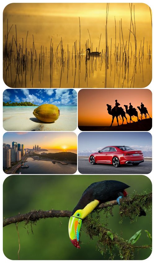 Beautiful Mixed Wallpapers Pack 709