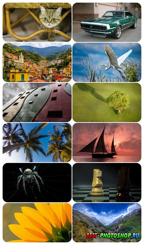     Beautiful Mixed Wallpapers Pack 916