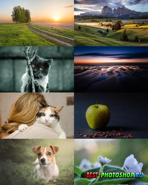 Wallpapers Mix 841
