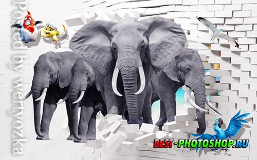 3D models template elephant animal bedroom wall