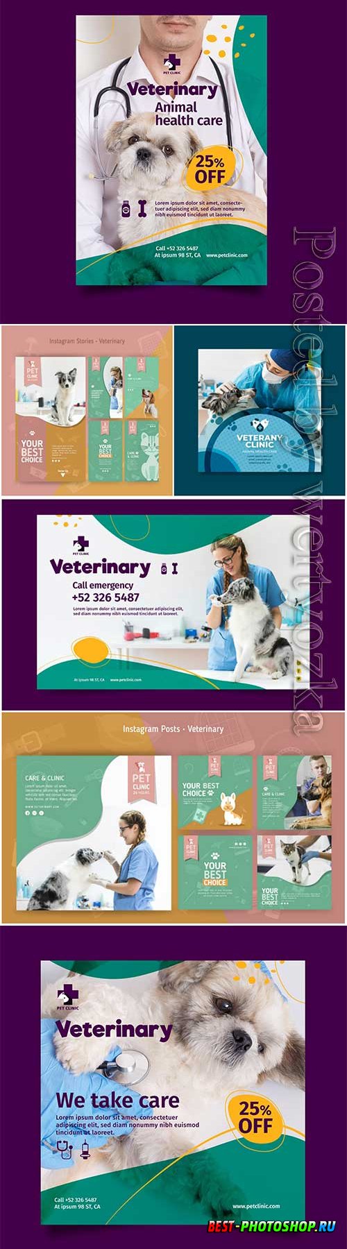Veterinary banner template with photo