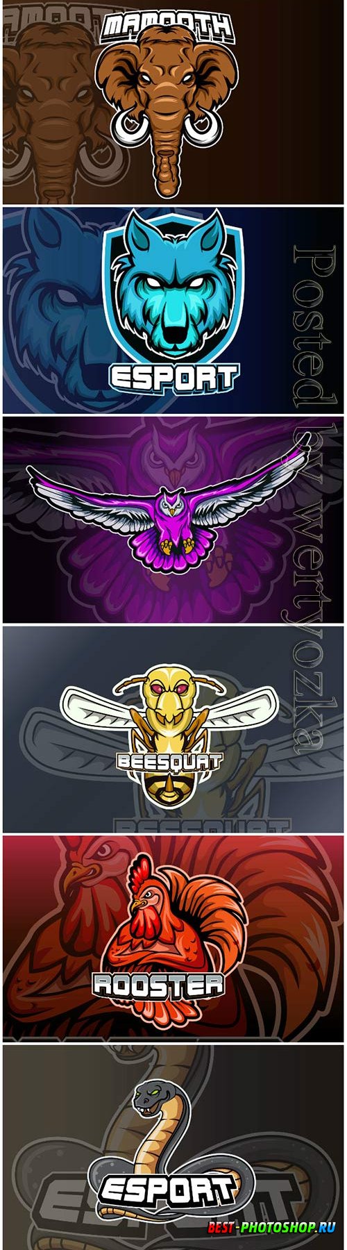 Mascot for sports and esports logo isolated premium vector vol 3
