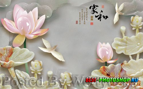 3D psd models embossed lotus home and rich tv background