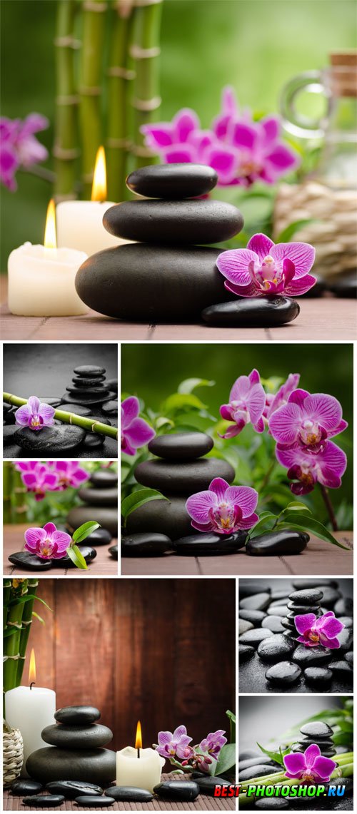 Orchids and spa stones stock photo