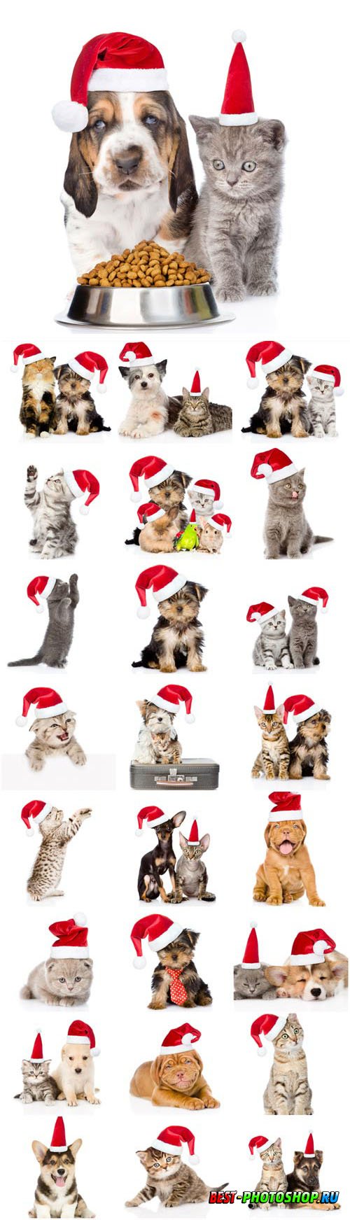 New Year and Christmas stock photos 52