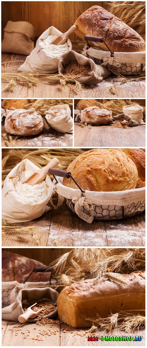 Freshly baked bread stock photo
