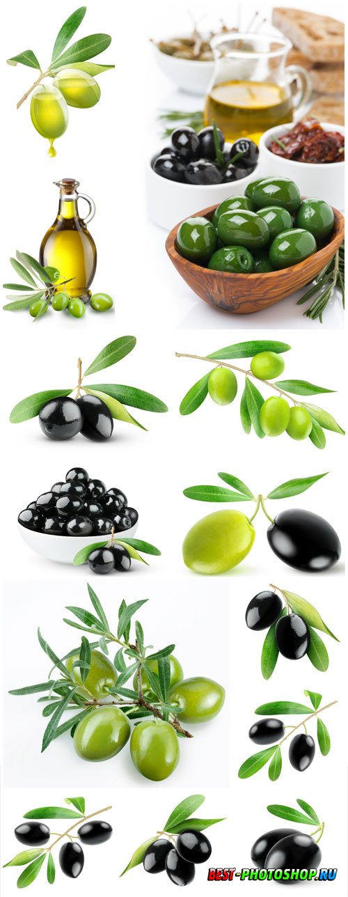 Sprigs with olives, olive oil stock photo