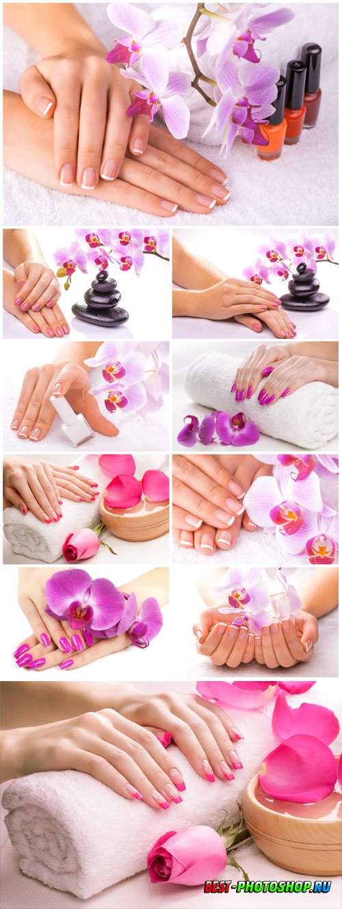 Female manicure, female hands and orchid flowers stock photo