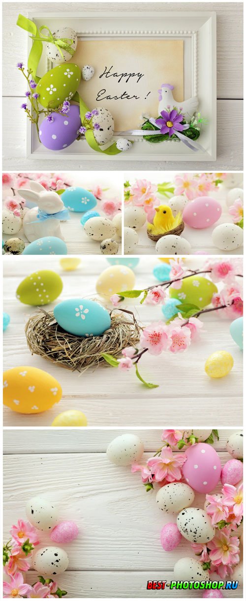 Easter eggs and flowers stock photo