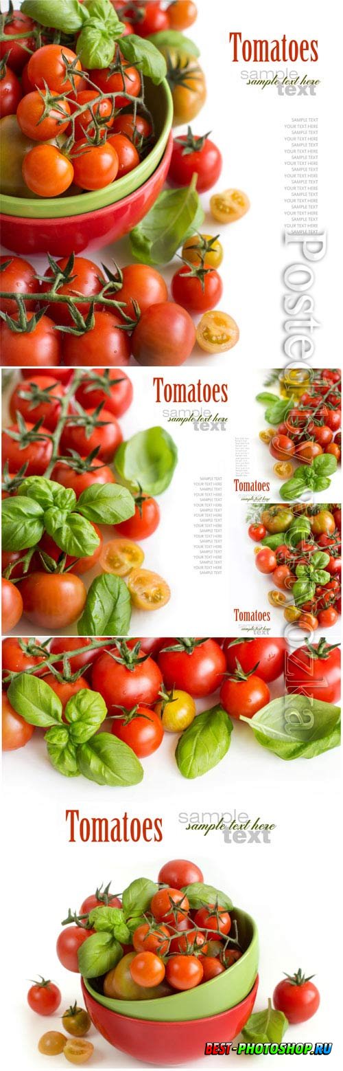 Tomatoes on white background stock photo