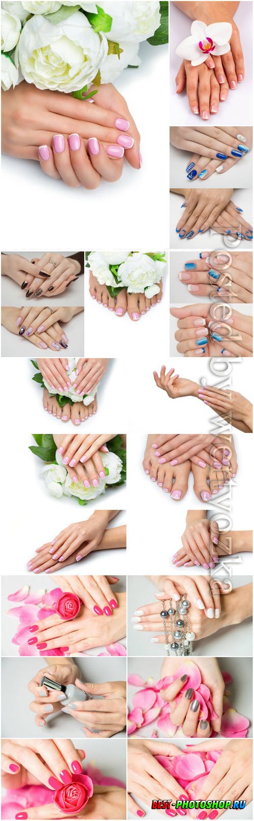 Pedicure and manicure, beautiful handles with flowers stock photo