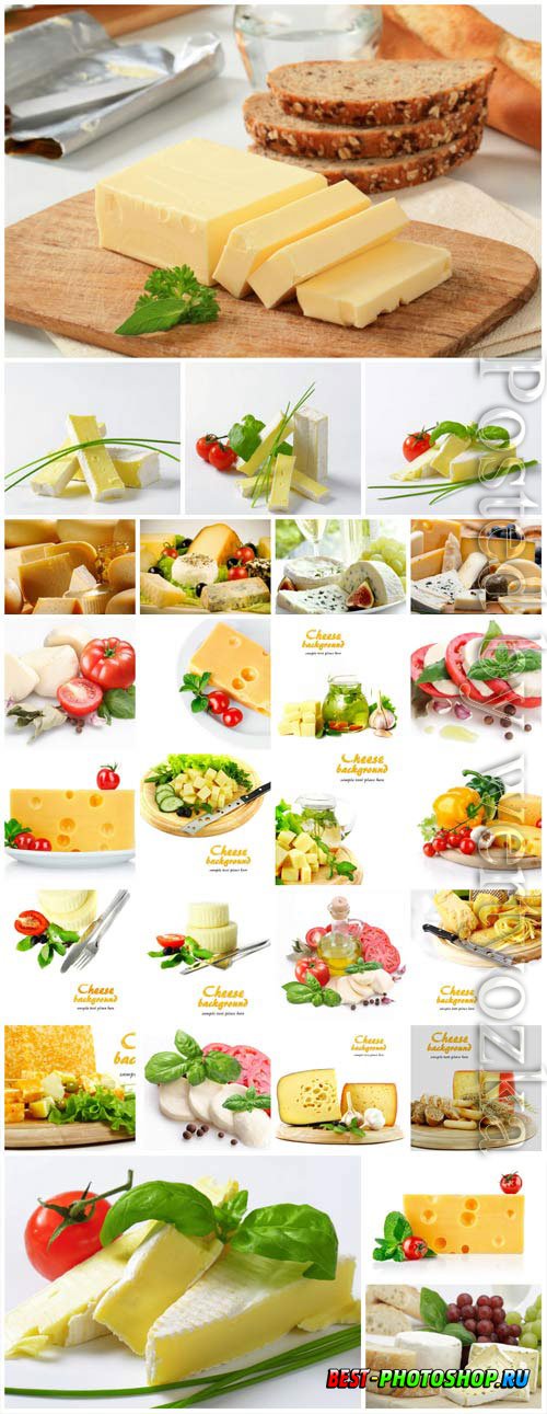 Cheese and vegetables stock photo