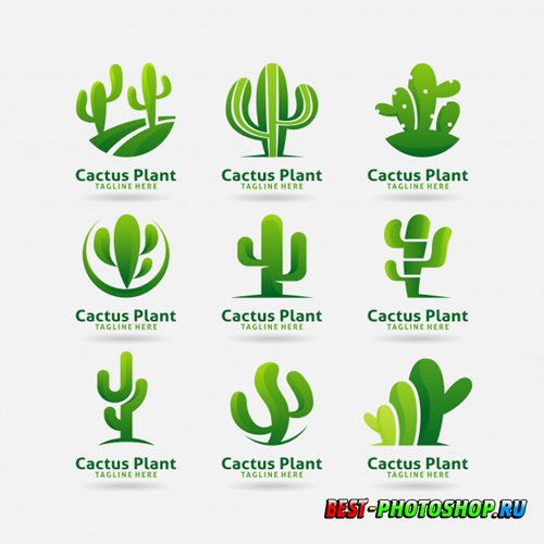 Collection of cactus plant logo vector design