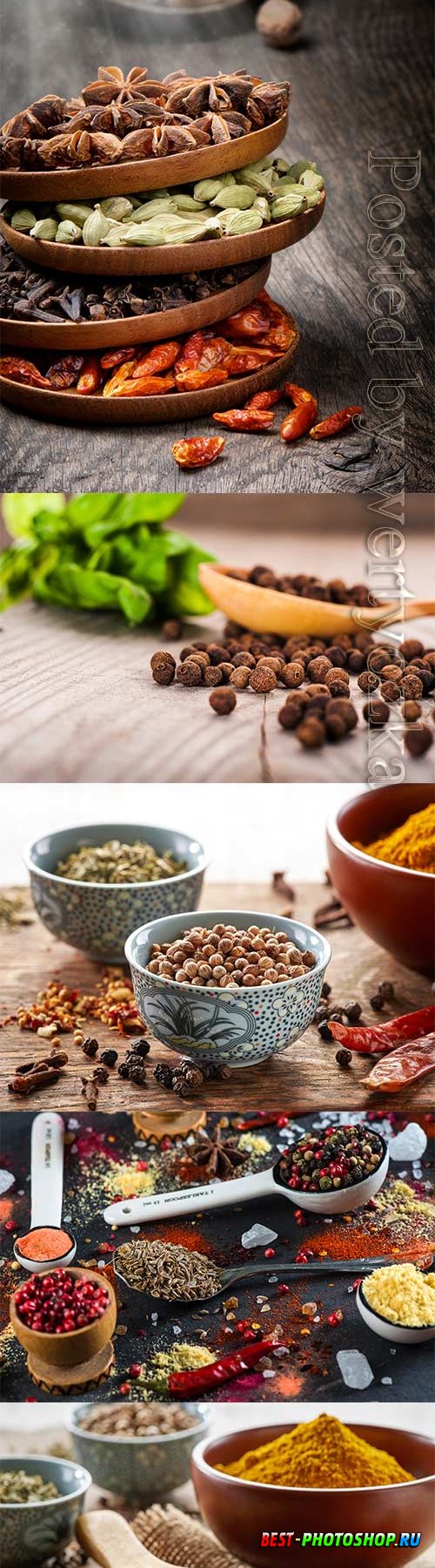 Various spices in various dishes stock photo