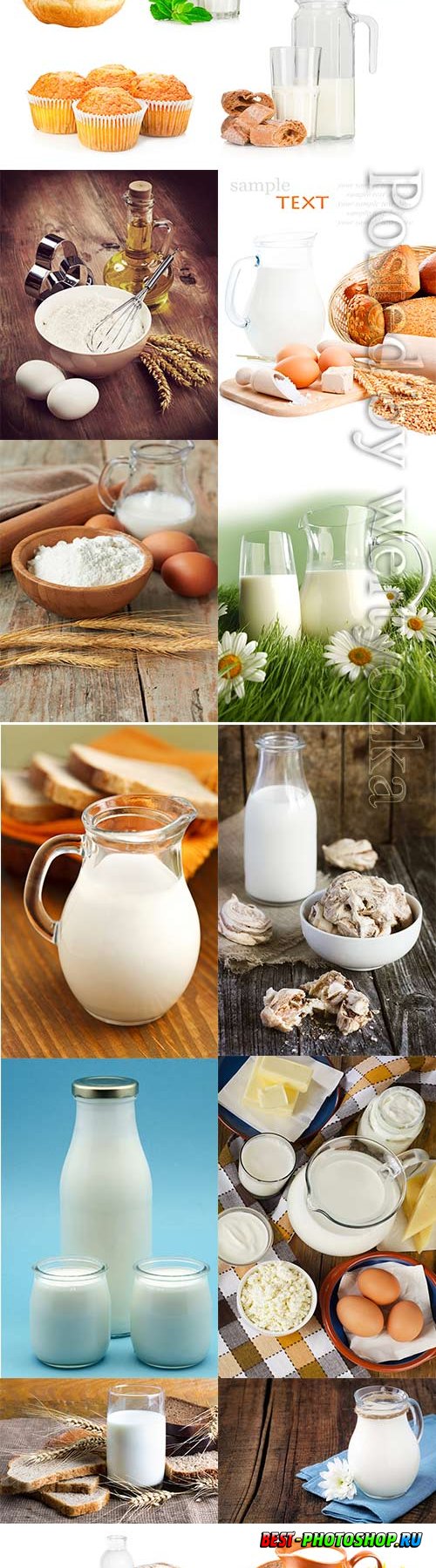 Milk and dairy products stock photo