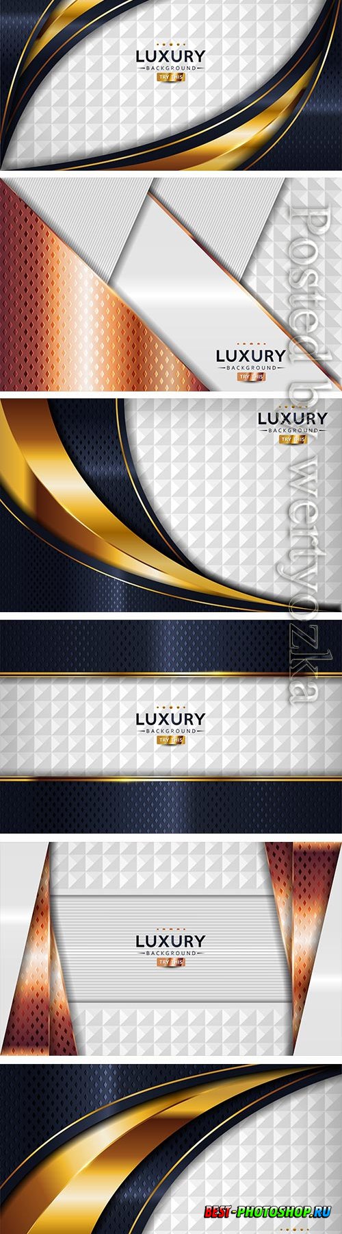 Dark navy and textured white luxury abstract vector background