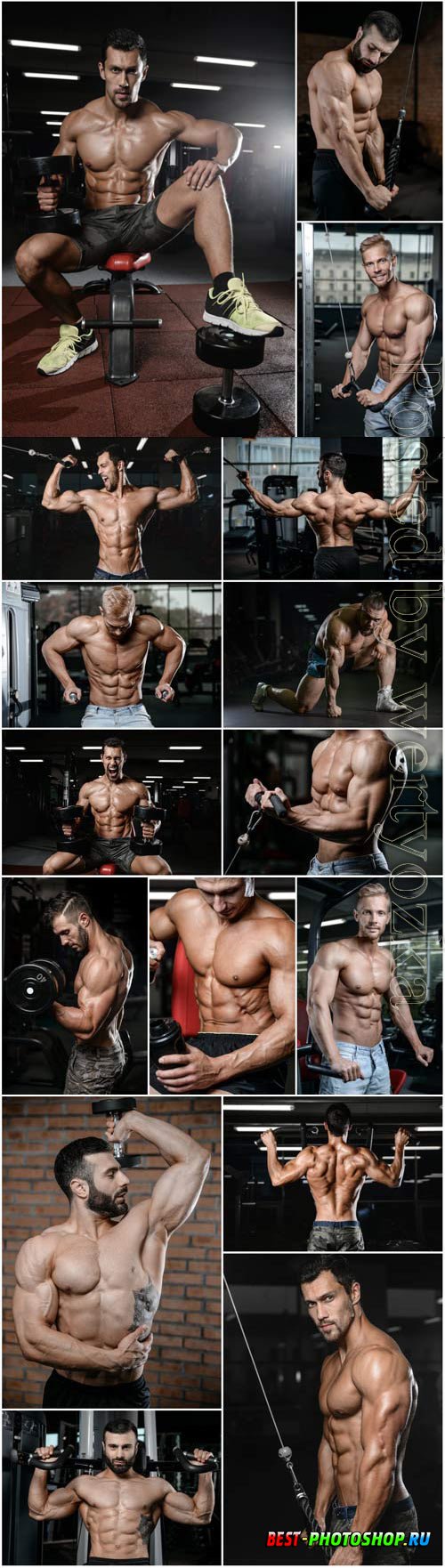 Athletic men in gym stock photo