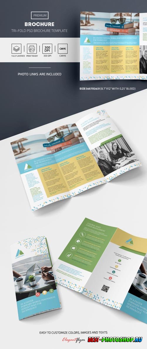 Corporate Tri Fold brochure