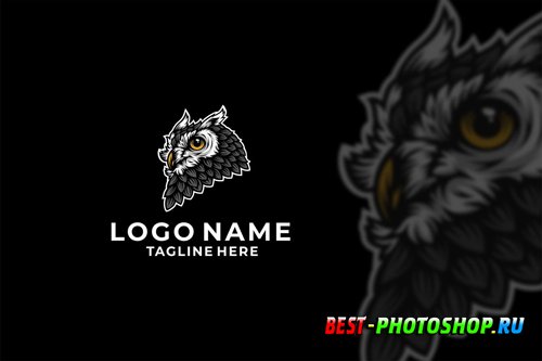 Owl Head Logo Design Vector