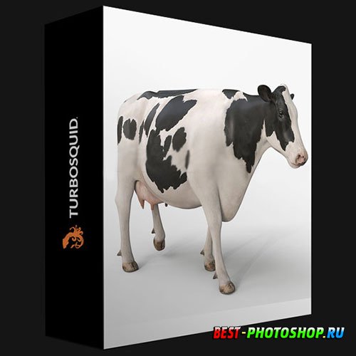 TURBOSQUID - COW PRO ( HOLSTEIN ) 3D MODEL BY MOTIONCOW